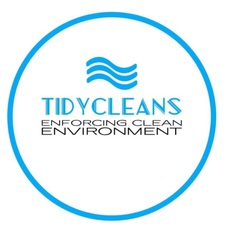 Logo for TidyCleans, LLC