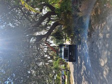 Logo for John Molnar Tree Service