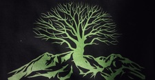Avatar for Mountain Mahogany Construction & Roofing