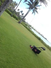 Avatar for Pauli's Landscaping Services