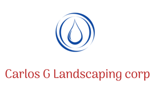 CARLOS G LANDSCAPING logo