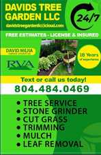 Avatar for Davids Tree Garden, LLC