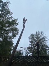 A L Tree Services & Removal LLC logo