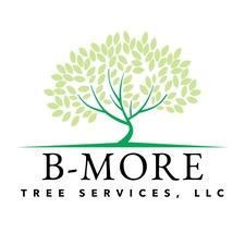 Avatar for B-More Tree Services, LLC