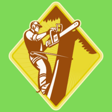 Avatar for High Top Tree Service, LLC