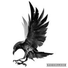 Logo for Ravenscape