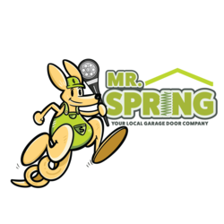 Mr Spring LLC logo