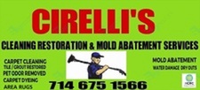 Avatar for Cirelli mold abatement service