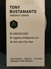 Logo for Chemistree, LLC