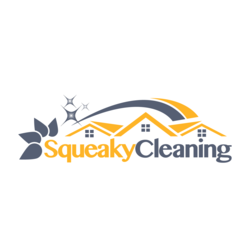 Squeaky Cleaning logo