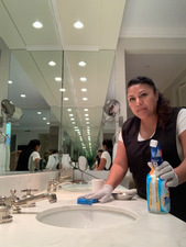 Annie's House Cleaning logo