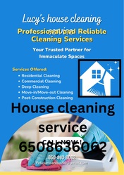 Lucy's House Cleaning Service - Unlicensed Contractor logo