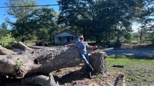 Logo for Adams Tree Service