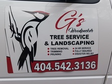 Avatar for G & D Tree Service
