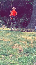 Avatar for Mclaughlin Tree Services