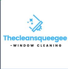 Avatar for The Clean Squeegee