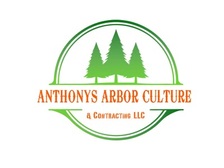 Logo for Anthonys Arbor Culture & Contracting, LLC