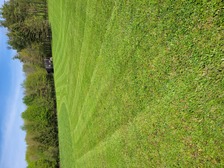Avatar for Little Sheldon's Lawn Mowing