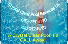 Avatar for Crystal Clear Pool Services