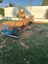 Avatar for Nacho Landscaping