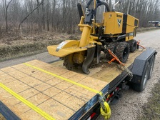 Avatar for Rapid Stump Removal