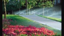 Avatar for Acacia Irrigation
