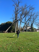 Avatar for Boyer Tree and Lawn Services