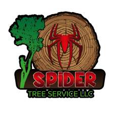 Logo for Spider Tree Services, LLC