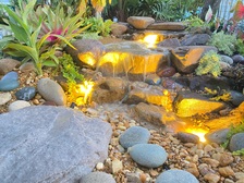 Avatar for Zen Theraquatics