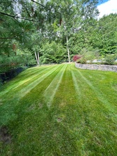 Logo for Sebastian and Sons Landscaping