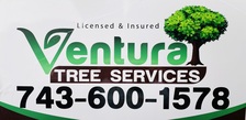 Avatar for Ventura Tree Services LLC