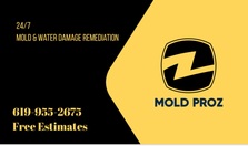Avatar for Mold Proz
