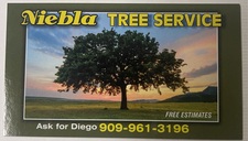 Niebla Group Services, Inc. logo