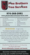 Logo for Pine Brothers Tree Services