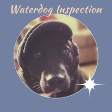 Avatar for Waterdog Inspections & Consulting