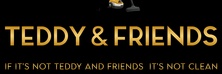 Teddy & Friends Cleaning Services LLC logo
