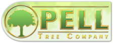 Avatar for Pell's Landscaping