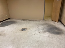 Avatar for Dynamic Cleaning Solutions