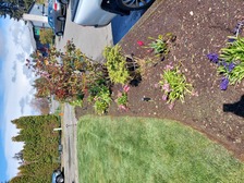 Avatar for Mag Landscape Services
