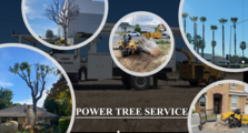 Logo for Power Tree Service