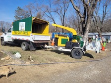 Avatar for Sunrise Tree Care, LLC