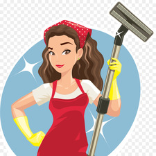 Viviana House Cleaning logo