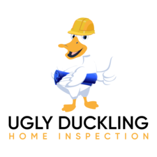 Avatar for Ugly Duckling Inspections, LLC