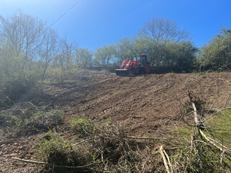 Precision Dirt Removal logo