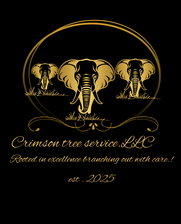 Avatar for Crimson Tree Service