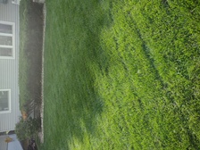 Avatar for Shane's Lawn Enforcement