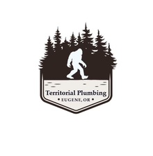 Avatar for Territorial Plumbing, LLC