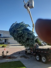Avatar for Don't Do it Alone Maintenance & Tree Service