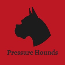 Logo for Pressure Hounds LLC