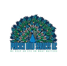 Logo for Peacock Mold Services, LLC